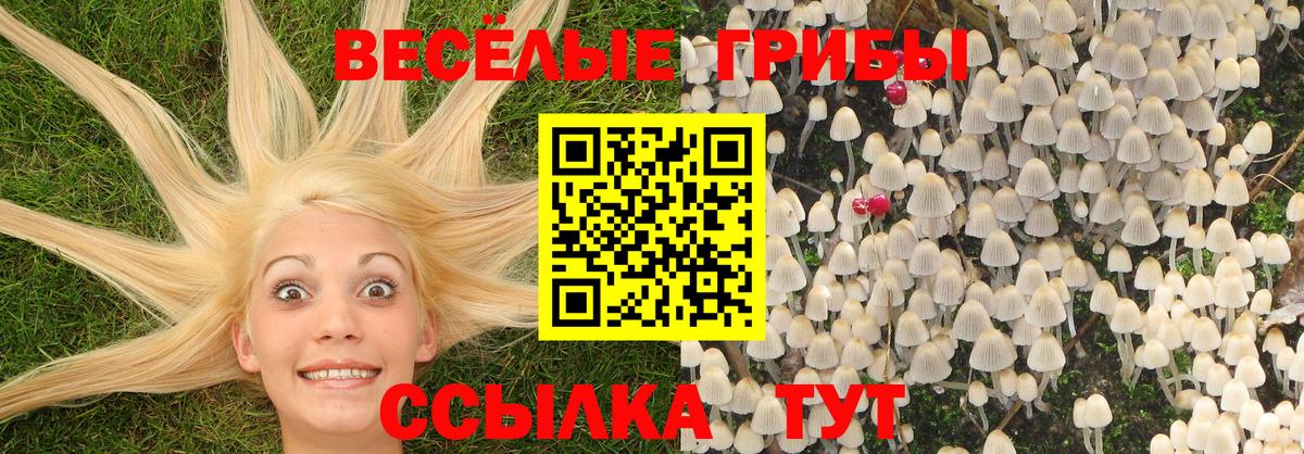 Галлюциногенные грибы ЛСД  Галлюциногенные грибы Psilocybe  Артём  Вход с VPN 